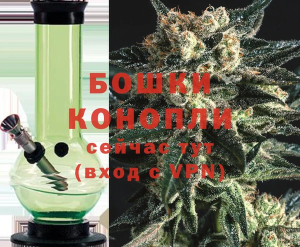 ПСИЛОЦИБИНОВЫЕ ГРИБЫ Белоозёрский
