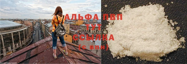 ПСИЛОЦИБИНОВЫЕ ГРИБЫ Белоозёрский