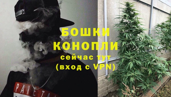 прущие крисы Белокуриха